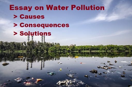 water pollution a menace essay