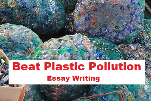 Essay on Beat Plastic Pollution, Essay on Beat Plastic Pollution 1000 Words