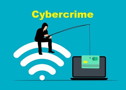 Essay on Cybercrime