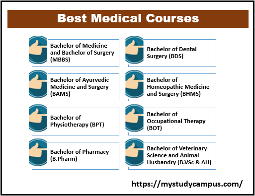 Best Medical Courses After 12th - My Study Campus