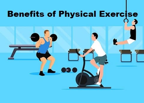 Essay on Benefits of Physical Exercise