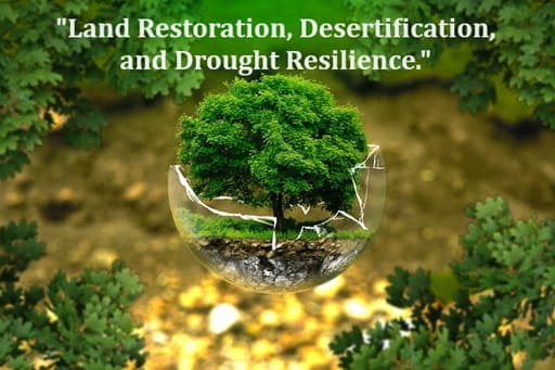 Land Restoration Desertification and Drought Resilience Essay and Paragraph Writing, Land Restoration, Desertification, and Drought Resilience,